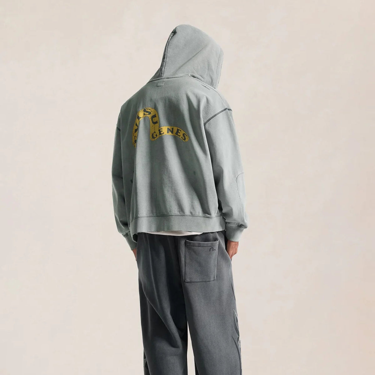 Evisu Seagull Genes Zip Hoodie Grey