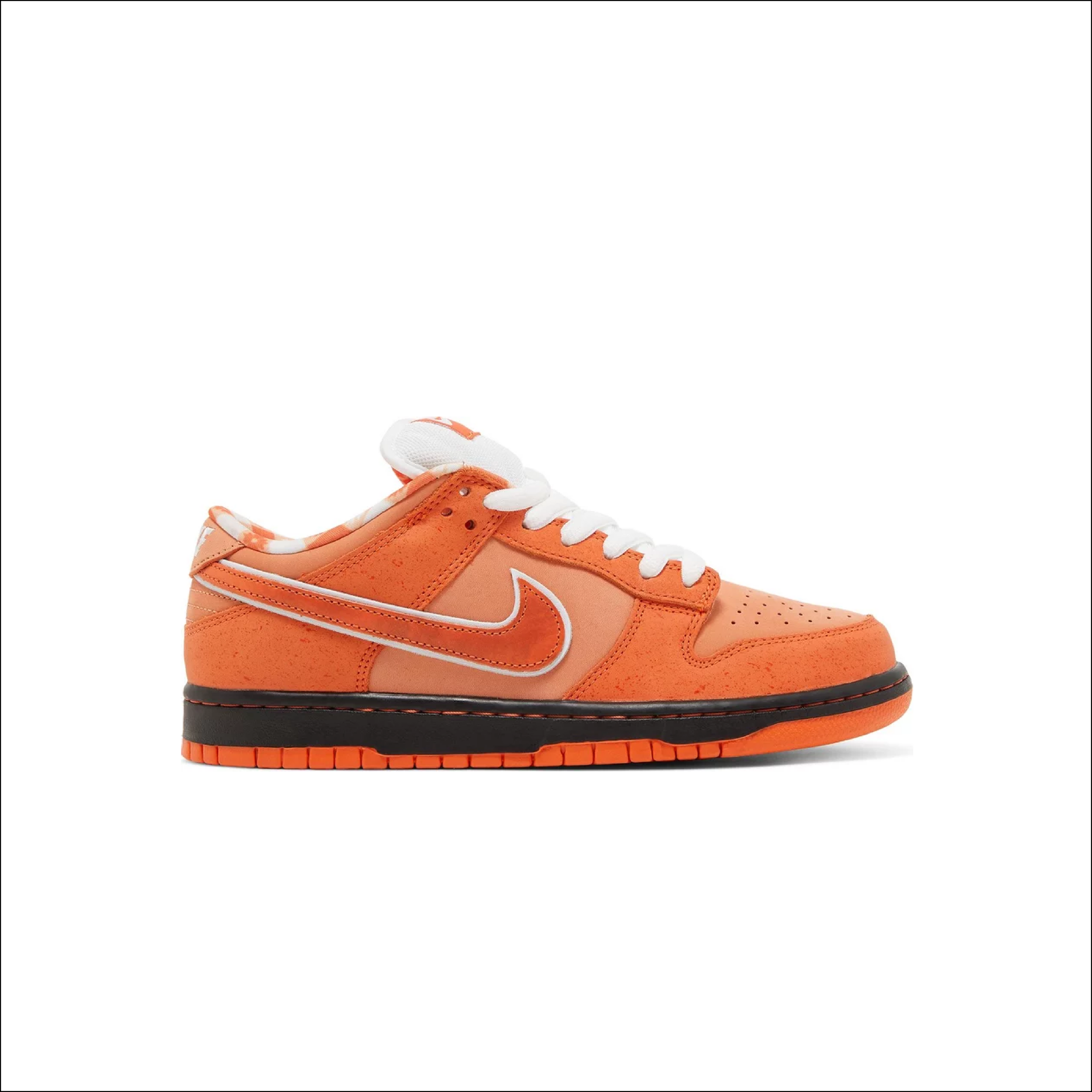 Nike SB Dunk Low Concepts Orange Lobster